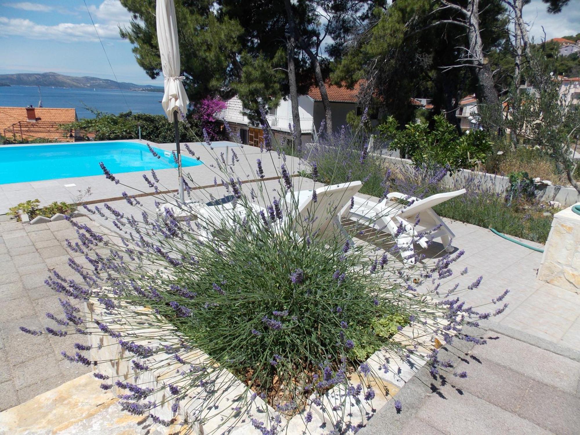 Apartments Villa Goja Trogir Room photo